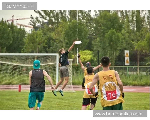 飞盘运动的崛起与刘娜的成功经验分享